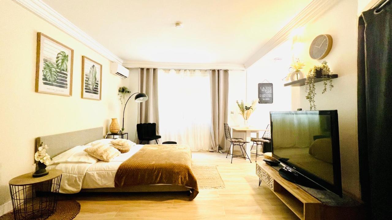 Le Miramar Nice - Clim, Parking, Wifi Et Piscine Екстериор снимка